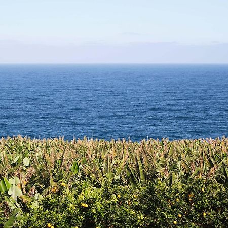 El Convento II Tranquilidad Y Vistas Unicas Apartment San Andres  Екстериор снимка