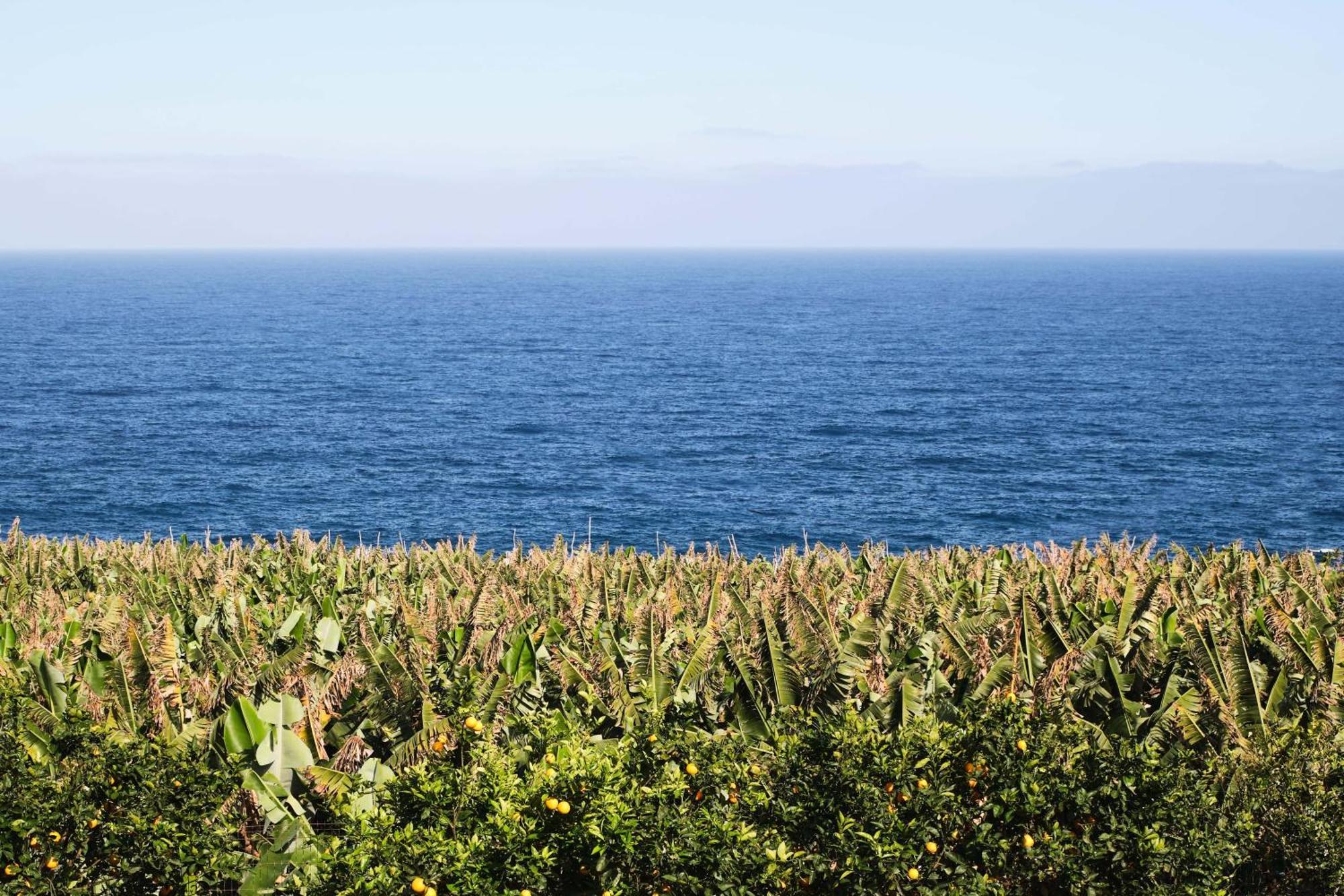 El Convento II Tranquilidad Y Vistas Unicas Apartment San Andres  Екстериор снимка